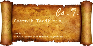 Csernik Terézia névjegykártya